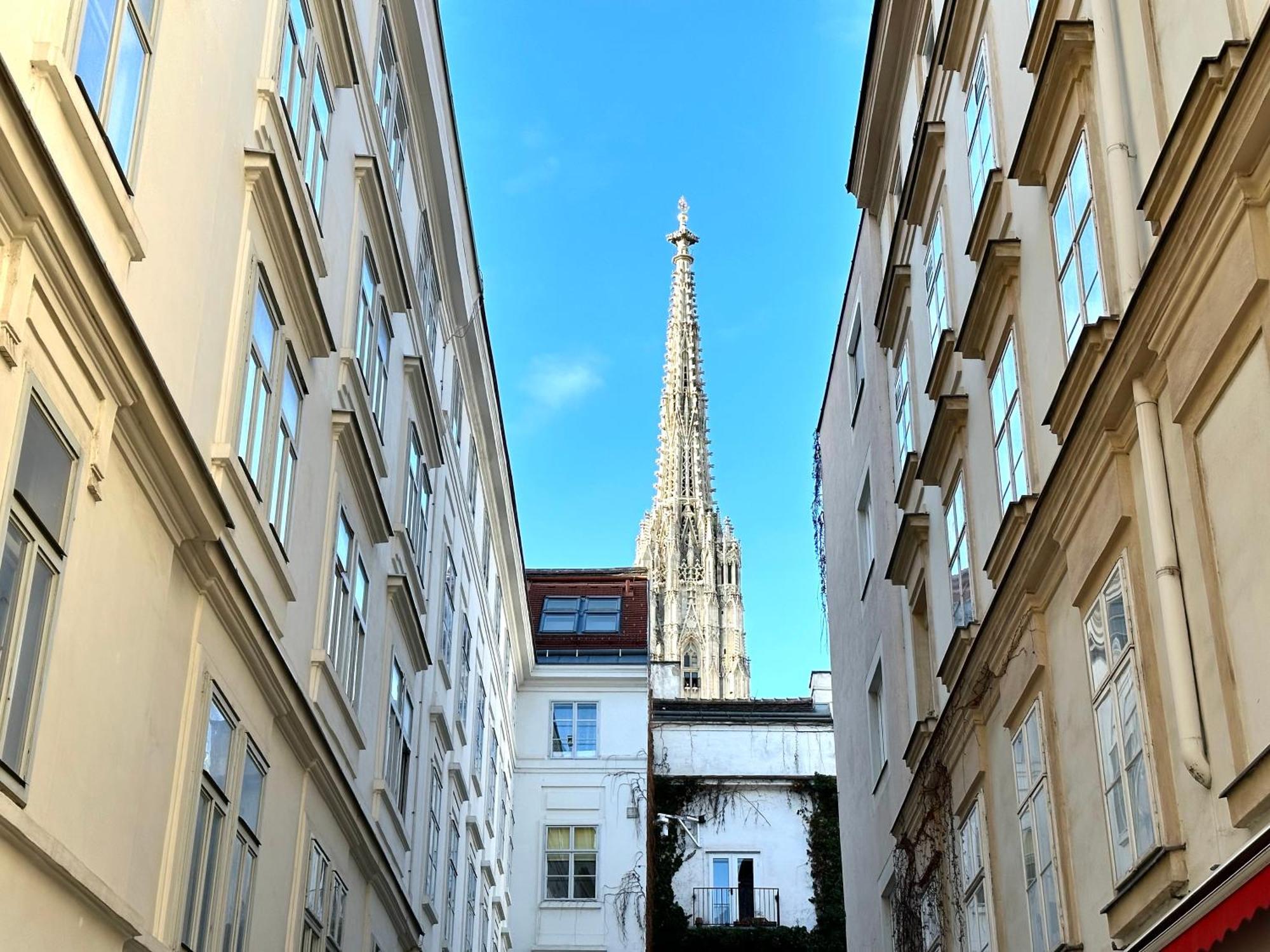 Central Stephansdom Apartment I Netflix I Self Check In Vienna Luaran gambar